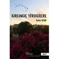 Kırlangıç Yüreklilere - Rabie Ruşid - Omca Yayınları