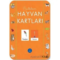 Hayvan Kartları - Kolektif - Multibem Yayınları