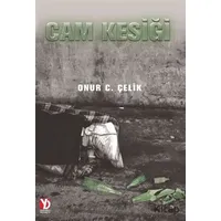 Cam Kesiği - Onur C. Çelik - Yazardan Direkt Yayınevi