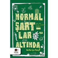 Normal Şartlar Altında - Burçin Acar Şeşen - Cezve Kitap