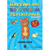 Hayvanları Boyuyorum Öğreniyorum - Lokman Aşkın - Dorlion Yayınları