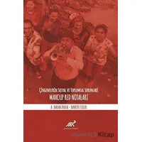 Çingenelerin Sosyal ve Toplumsal Sorunları - A. Baran Dural - Paradigma Akademi Yayınları
