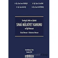 Gerekçeli Notlu ve İçtihatlı 6769 Sayılı Mülkiyet Kanunu - Tamer Pekdinçer - On İki Levha Yayınları