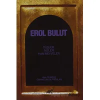Erol Bulut - Aylin Gürbüz - Paradigma Akademi Yayınları