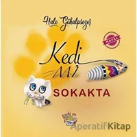 Kedi Mi Sokakta - Hale Gökalpsezer - Parmak Çocuk Yayınları