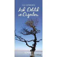 Aşk Delilik Ve Diğerleri - Gül Köseeren - Liman Yayınevi
