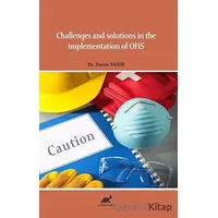 Challenges and Solutions in the Implementation of OHS - Suzan Yanık - Paradigma Akademi Yayınları