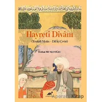 Hayreti Divanı - Ferhat Musluoğlu - Paradigma Akademi Yayınları