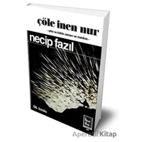 Çöle İnen Nur (Hatıra Baskısı) - Necip Fazıl Kısakürek - Büyük Doğu Yayınları