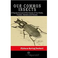 Our Common Insects - Alpheus Spring Packard - Platanus Publishing