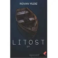 Litost - Rıdvan Yıldız - Klaros Yayınları