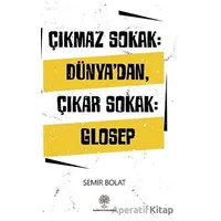 Çıkmaz Sokak: Dünyadan Çıkar Sokak: Glosep - Semir Bolat - Platanus Publishing
