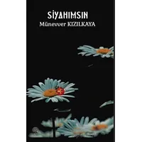 Siyahımsın - Münevver Kızılkaya - Platanus Publishing