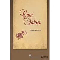 Çam Sakızı - Yaşar Fersahoğlu - Türkiye Diyanet Vakfı Yayınları