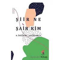Şiir Ne Şair Kim - E. Bülent Yardımcı - Klaros Yayınları