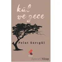 Kül ve Gece - Polat Sarıgül - Klaros Yayınları