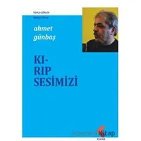 Kırıp Sesimizi - Ahmet Günbaş - Klaros Yayınları