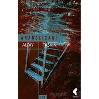 Anabolizan - Altay Taşkın - Klaros Yayınları