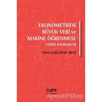 Ekonometride Büyük Veri ve Makine Öğrenmesi - Ebru Çağlayan Akay - Der Yayınları