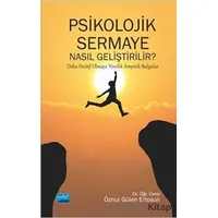Psikolojik Sermaye Nasıl Geliştirilir? - Öznur Gülen Ertosun - Nobel Akademik Yayıncılık