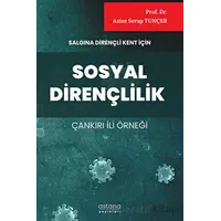 Salgına Dirençli Kent İçin Sosyal Dirençlilik (Çankırı İli Örneği)