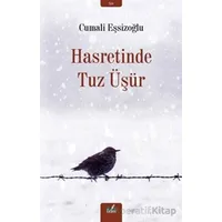 Hasretinde Tuz Üşür - Cumali Eşsizoğlu - İzan Yayıncılık