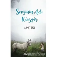 Sevginin Adı Rüzgar - Ahmet Erol - Epsilon Yayınevi