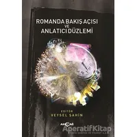 Romanda Bakış Açısı ve Anlatıcı Düzlemi - Veysel Şahin - Akçağ Yayınları