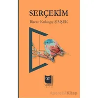 Serçekim - Bircan Kırlangıç Şimşek - Somut Yayınları