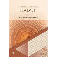 Manevi Eğitim Metodu Olarak Halvet - Mahmud Esad Erkaya - Türkiye Diyanet Vakfı Yayınları