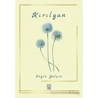 Kırılgan - Leyla Yalçın - Luna Yayınları