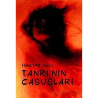Tanrı’nın Casusları - HAKAN ALTINÇEKİÇ - İkinci Adam Yayınları