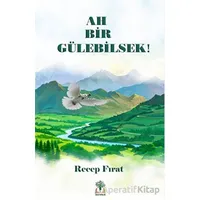 Ah Bir Gülebilsek - Recep Fırat - Sidar Yayınları
