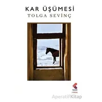 Kar Üşümesi - Tolga Sevinç - Klaros Yayınları