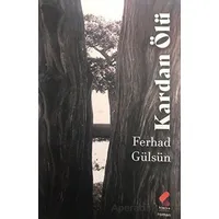 Kardan Ölü - Ferhad Gülsün - Klaros Yayınları