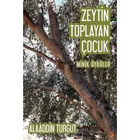 Zeytin Toplayan Çocuk - Alaaddin Turgut - Cinius Yayınları