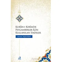 Kuran-ı Kerimde Peygamberler İçin Kullanılan İfadeler - Ahmet Taşdoğan - Fecr Yayınları