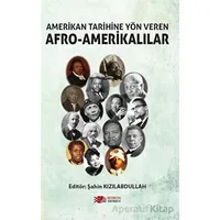 Amerikan Tarihine Yön Veren Afro - Amerikalılar - Şahin Kızılabdullah - Berikan Yayınevi
