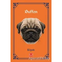 Köpek - Georges-Louis Leclerc Comte de Buffon - Kırmızı Kedi Yayınevi