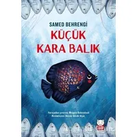 Küçük Kara Balık - Samed Behrengi - Kırmızı Kedi Çocuk