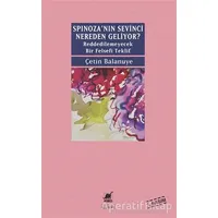 Spinozanın Sevinci Nereden Geliyor? - Çetin Balanuye - Ayrıntı Yayınları