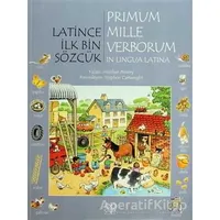 Latince İlk Bin Sözcük - Primum Mille Verborum In Lingua Latina