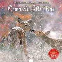 Ormanda İlk Kar - Carl R. Sams II - 1001 Çiçek Kitaplar