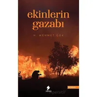 Ekinlerin Gazabı - Hacı Mehmet Gök - Morena Yayınevi