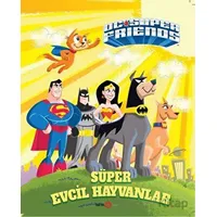 DC Süper Friends - Süper Evcil Hayvanlar - Billy Wrecks - Beta Kids