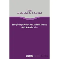 Balcıoğlu Selçuk Ardıyok Keki Avukatlık Ortaklığı CORE Makaleleri - I