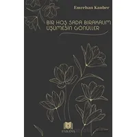Bir Hoş Sada Bırakalım Üşümesin Gönüller - Emrehan Kanber - Parana Yayınları