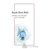 Küçük Kara Balık - Samed Behrengi - Dekalog Yayınları