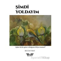 Şimdi Yoldayım - Begüm Fırat - Perseus