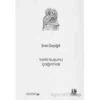 Tarla Kuşunu Çağırmak - Erol Özyiğit - Pikaresk Yayınevi